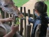 IMG_20210604_113833