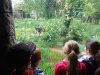 IMG_20210604_120318