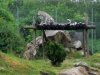 IMG_20210604_140744